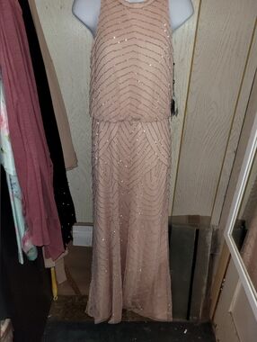Adrianna Papell Blush Beaded Maxi Dress